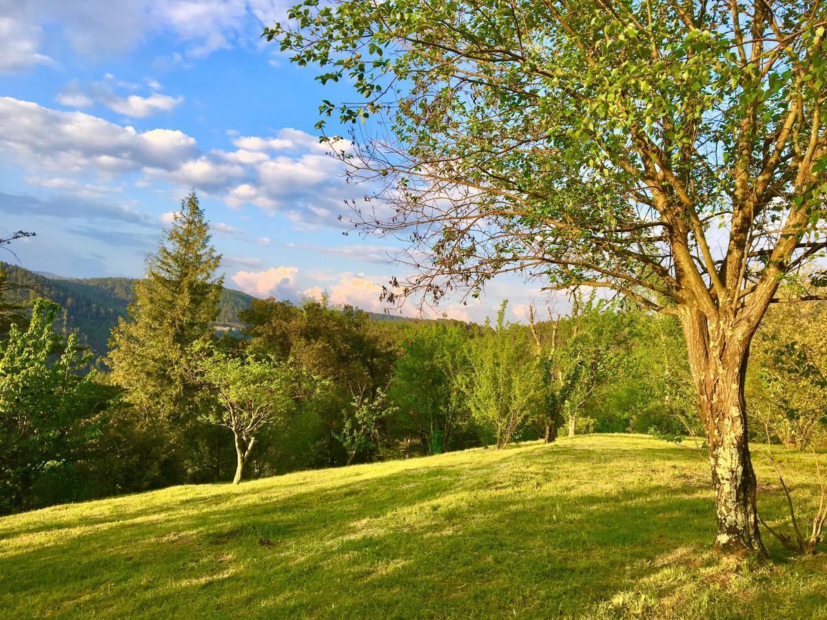 Gite De La Jasse Chamborigaud Buitenkant foto